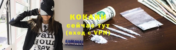 прущий лед Аркадак