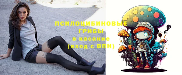 PSILOCYBIN Арсеньев