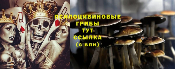 прущий лед Аркадак