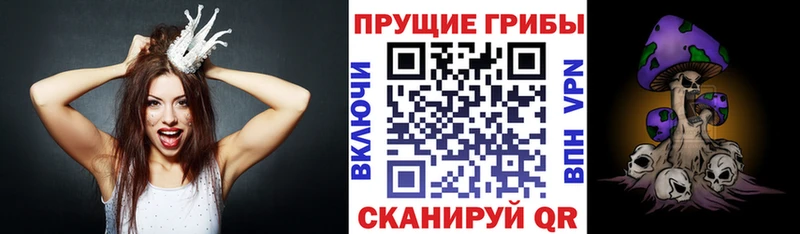 маркетплейс телеграм Брюховецкая Псилоцибиновые грибы Psilocybine cubensis